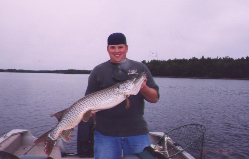 Click to expand / contract the width of this image