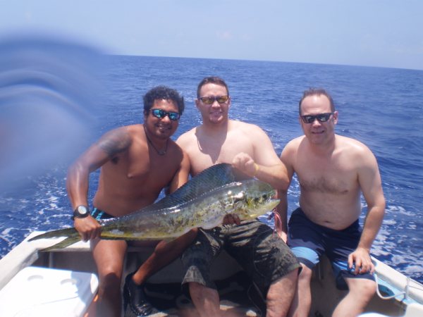 Click to expand / contract the width of this image