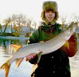 Click to expand / contract the width of this image