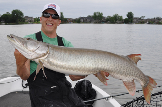 Click to expand / contract the width of this image