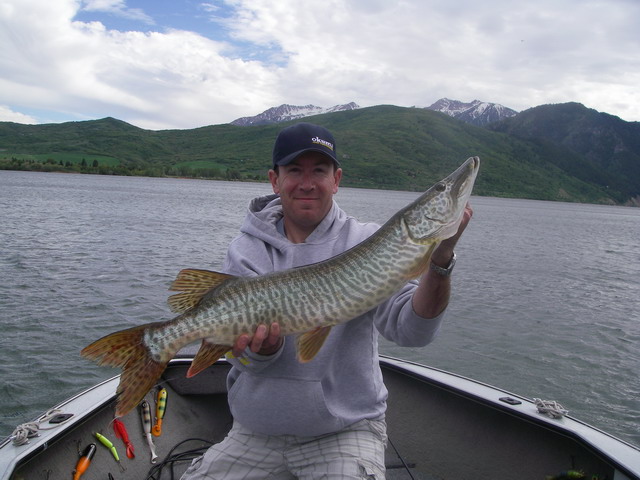 Click to expand / contract the width of this image