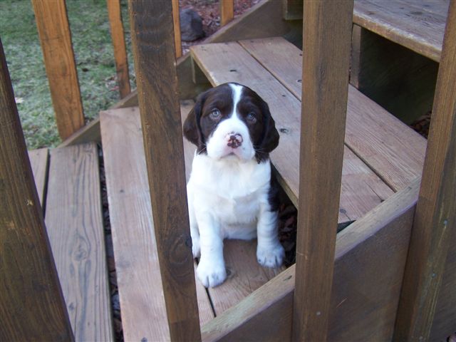 Click to expand / contract the width of this image