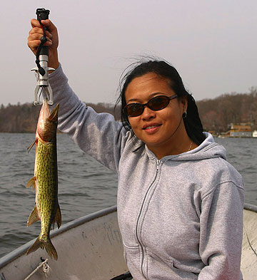 Click to expand / contract the width of this image