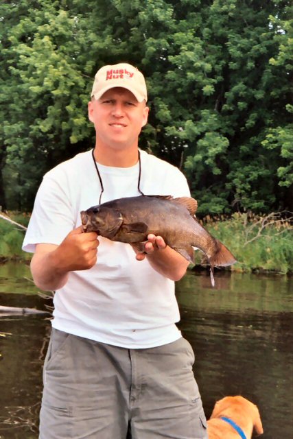 Click to expand / contract the width of this image