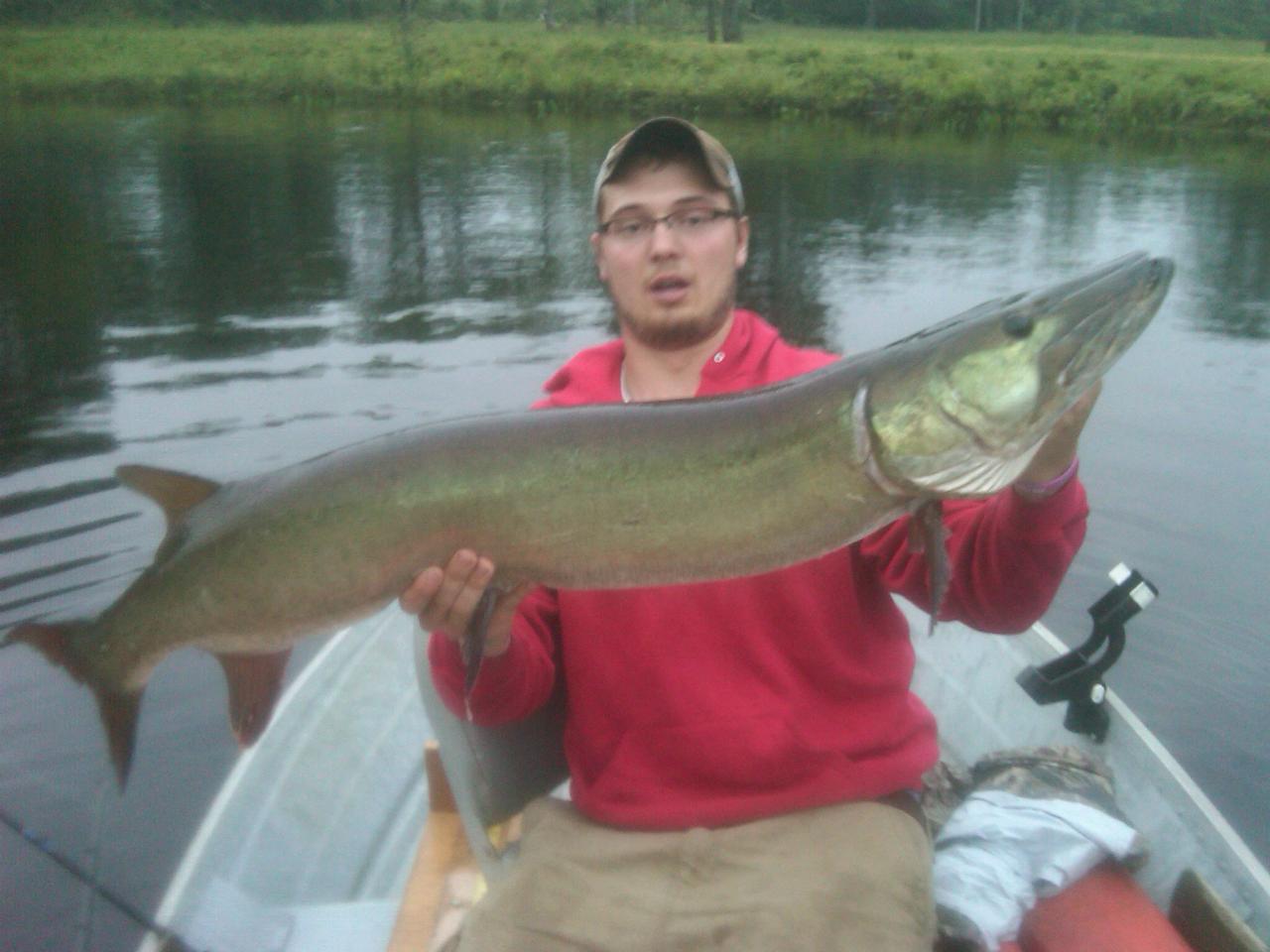 Click to expand / contract the width of this image