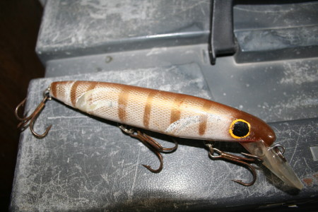 Click to expand / contract the width of this image