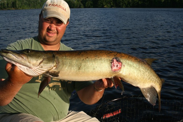 Click to expand / contract the width of this image