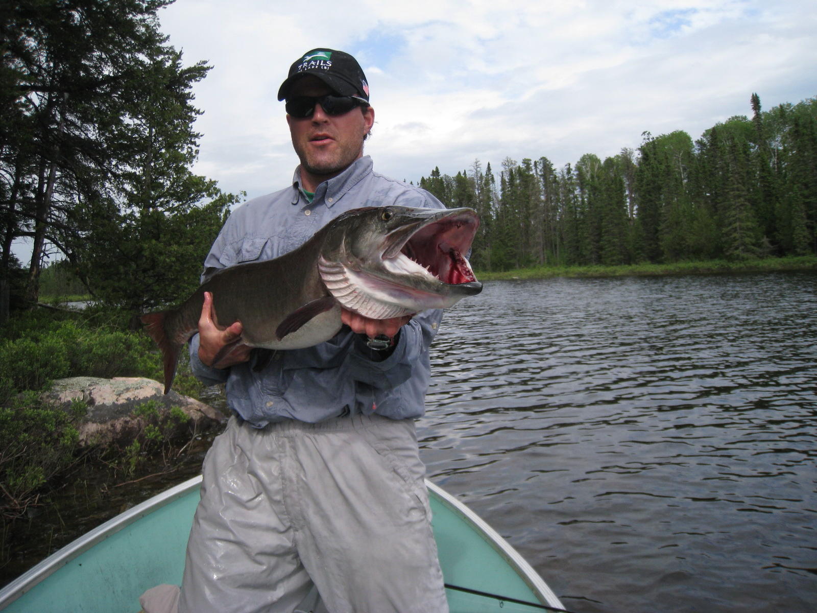 Click to expand / contract the width of this image