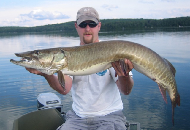 Click to expand / contract the width of this image