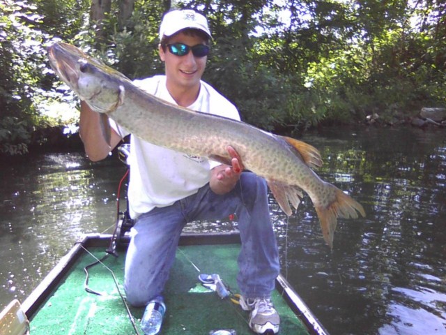 Click to expand / contract the width of this image