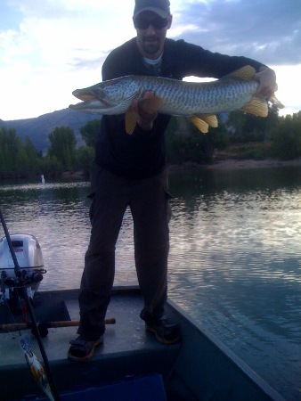 Click to expand / contract the width of this image