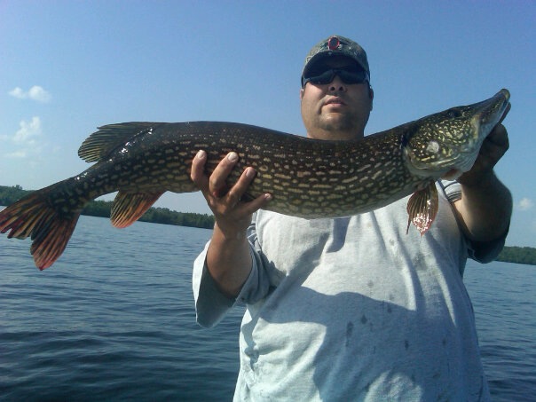 Click to expand / contract the width of this image