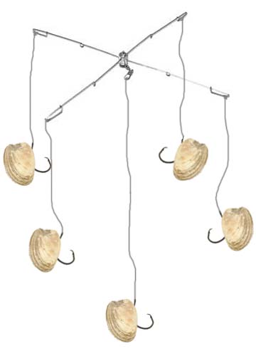 Click to expand / contract the width of this image