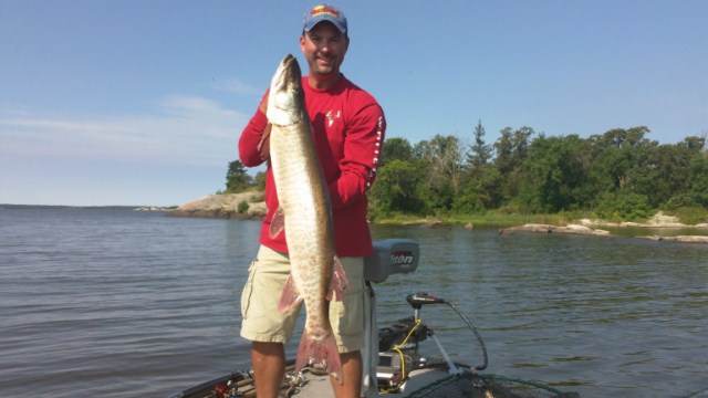 Click to expand / contract the width of this image