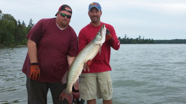 Click to expand / contract the width of this image