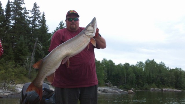 Click to expand / contract the width of this image