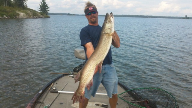 Click to expand / contract the width of this image