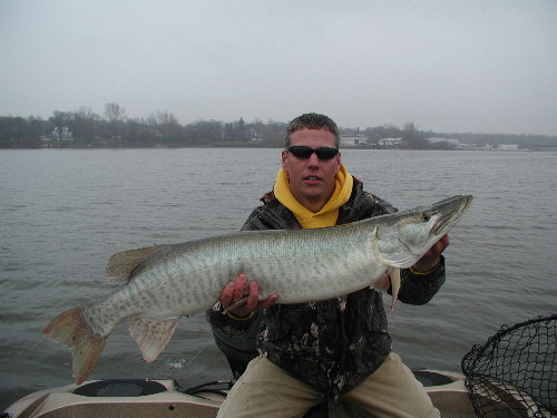 MuskieFIRST | Great lakes spotted Muskies » General Discussion » Muskie ...