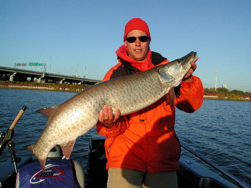 MuskieFIRST | Great lakes spotted Muskies » General Discussion » Muskie ...