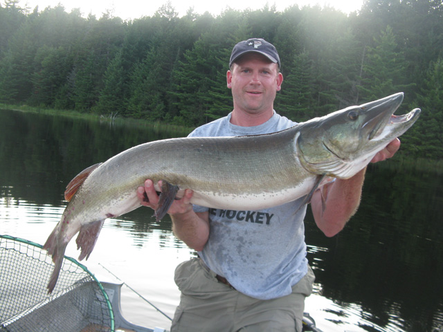 Click to expand / contract the width of this image