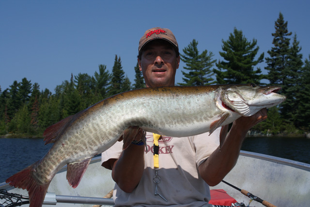 Click to expand / contract the width of this image