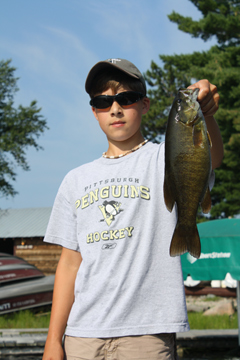 Click to expand / contract the width of this image