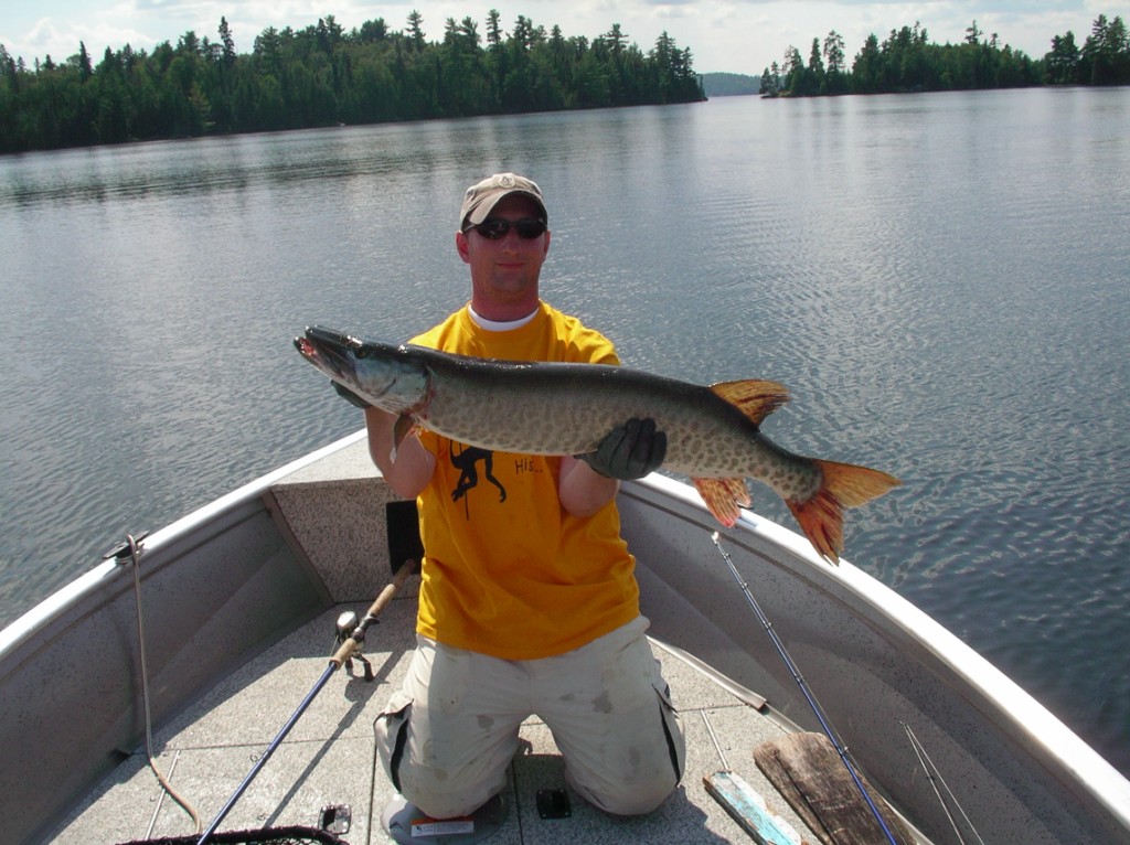 Click to expand / contract the width of this image