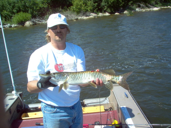 Click to expand / contract the width of this image