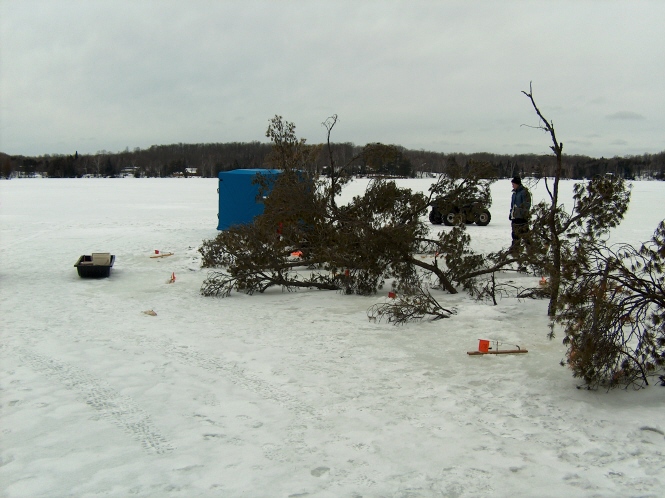 Click to expand / contract the width of this image