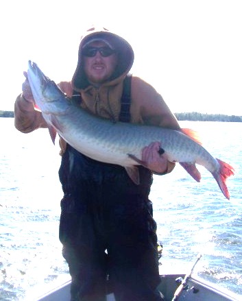 Click to expand / contract the width of this image