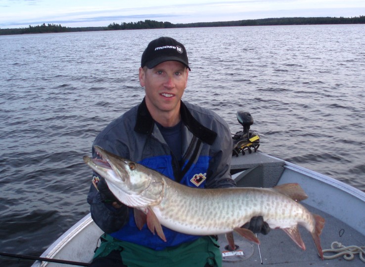 Click to expand / contract the width of this image