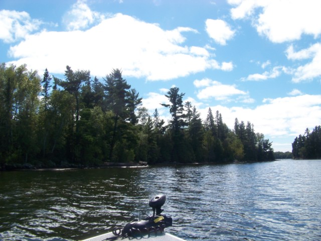 Click to expand / contract the width of this image