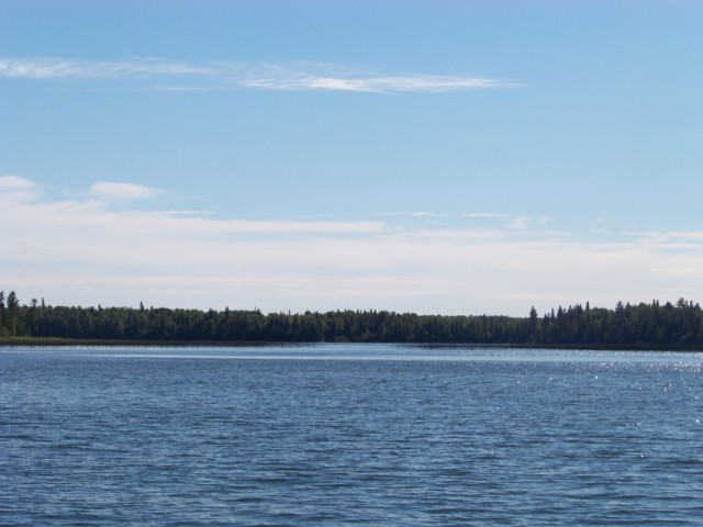 Click to expand / contract the width of this image