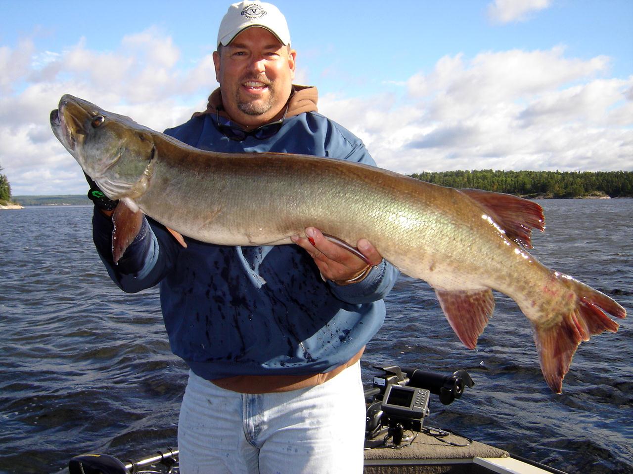 MuskieFIRST Minaki Ontario » Fishing Reports and Destinations