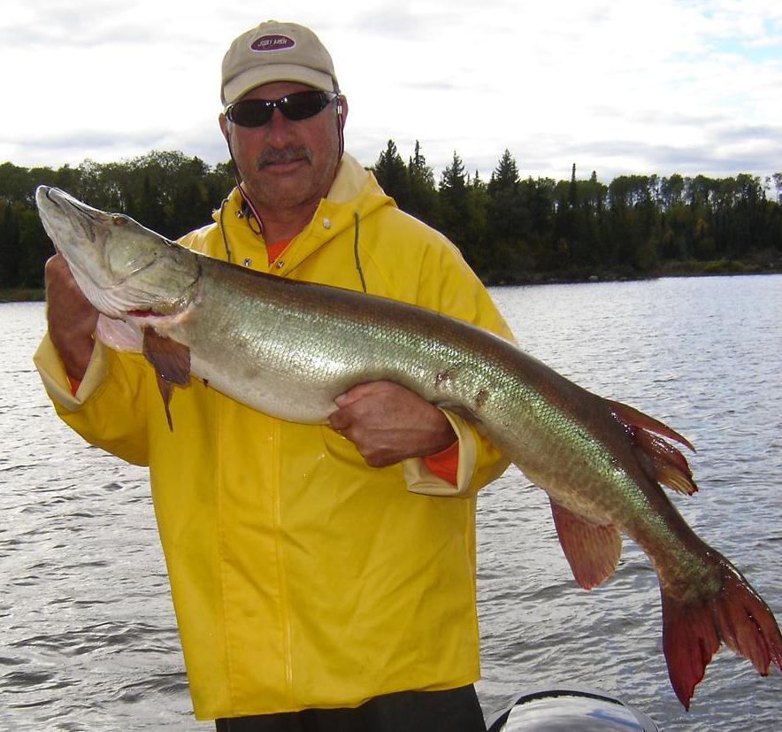 MuskieFIRST Minaki Ontario » Fishing Reports and Destinations