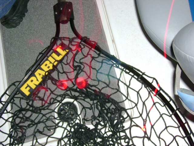 Click to expand / contract the width of this image