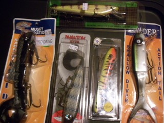 Click to expand / contract the width of this image