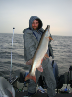 Click to expand / contract the width of this image