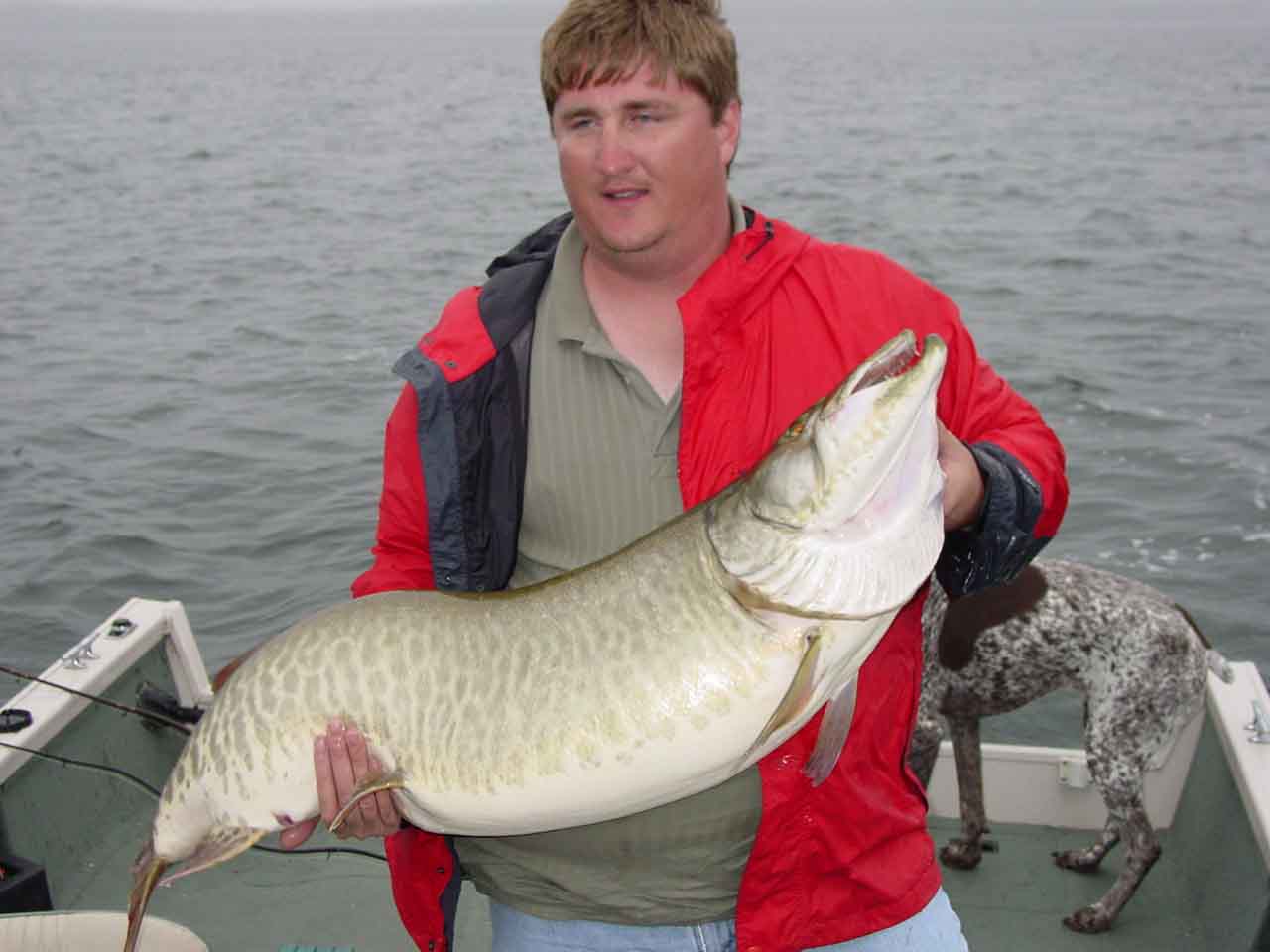 Click to expand / contract the width of this image