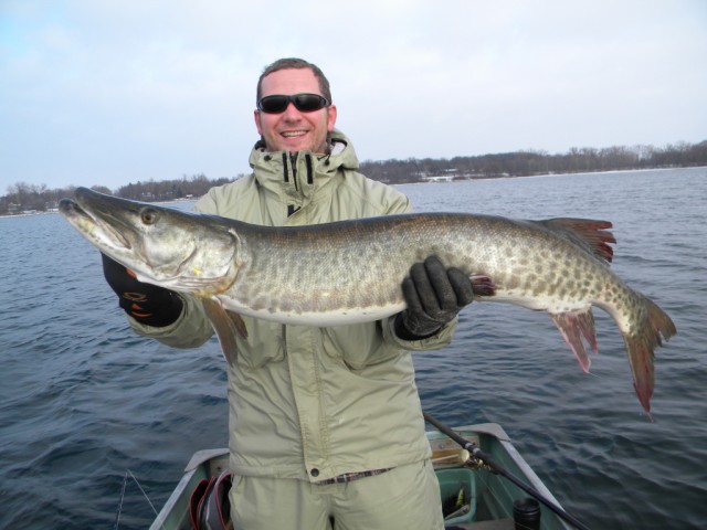 Click to expand / contract the width of this image