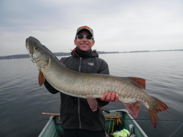 Click to expand / contract the width of this image