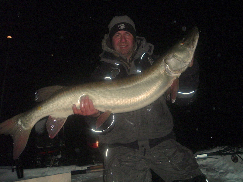 Click to expand / contract the width of this image