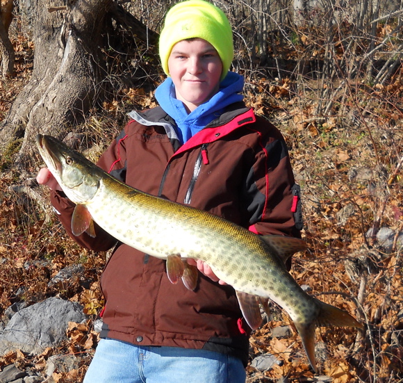 Click to expand / contract the width of this image