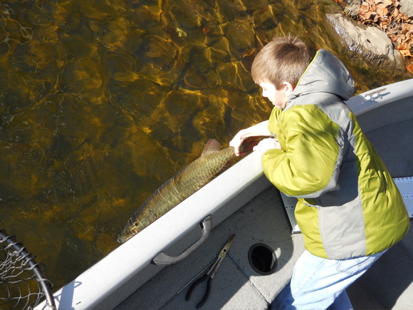 Click to expand / contract the width of this image