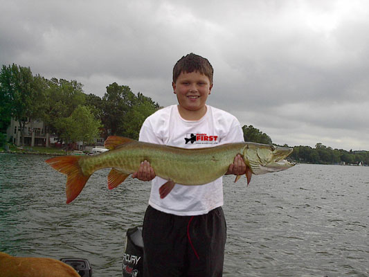 Click to expand / contract the width of this image