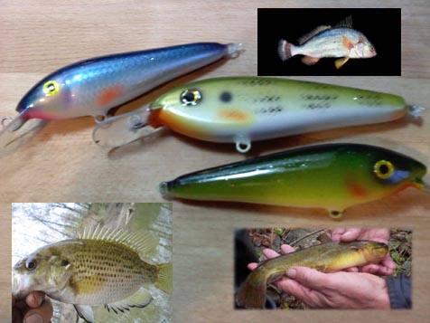 Click to expand / contract the width of this image