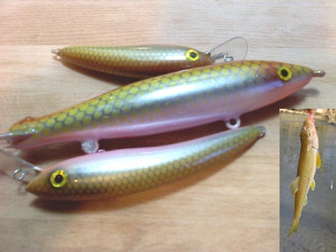 Click to expand / contract the width of this image