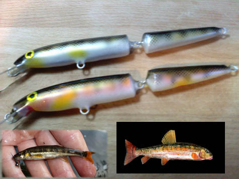 Click to expand / contract the width of this image