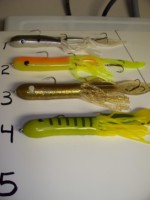 Click to expand / contract the width of this image