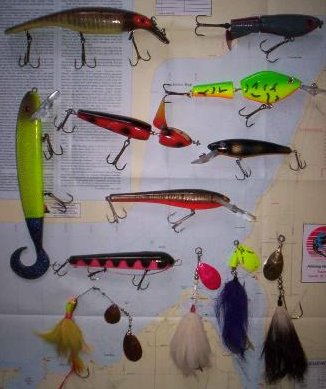 Click to expand / contract the width of this image